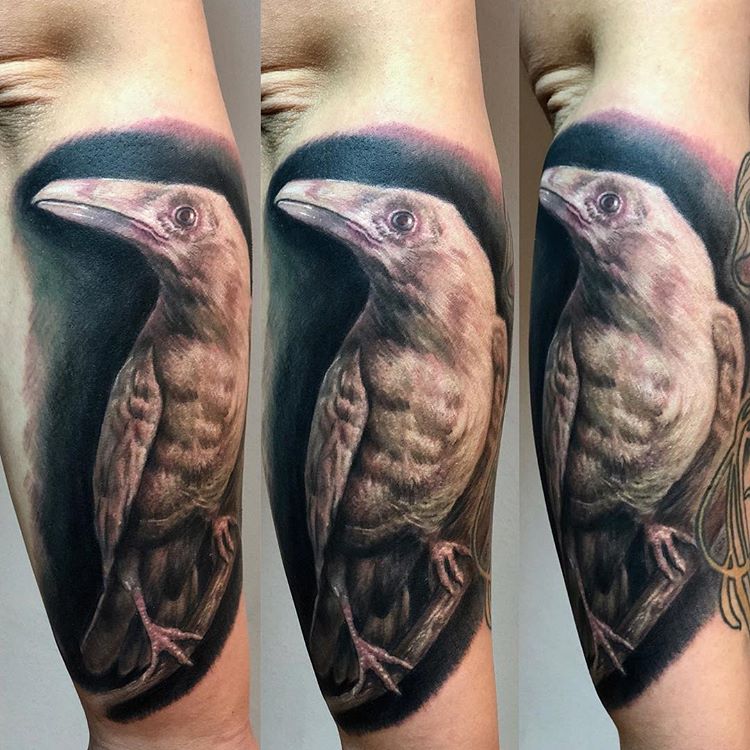 crow Tattoos - Images, Designs, Inspiration 