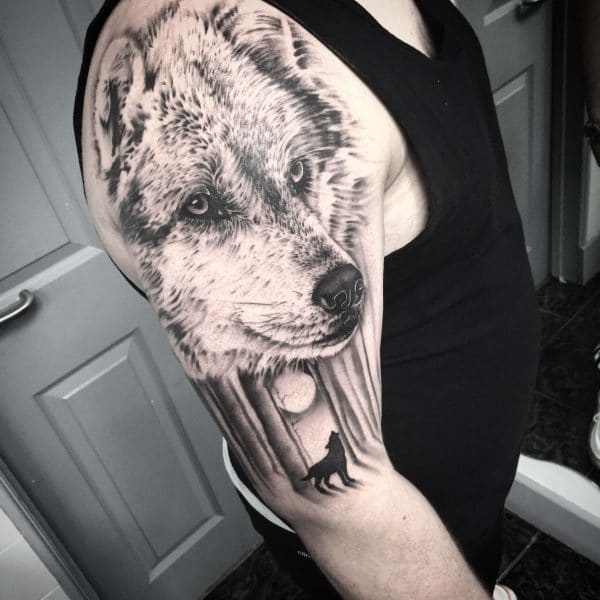 wolf realistic tattoo on arm